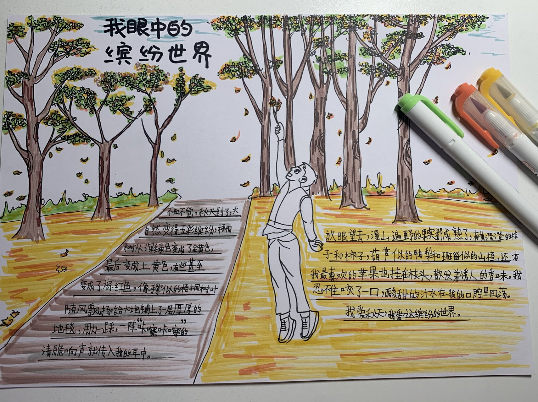 手抄报——我眼中的缤纷世界