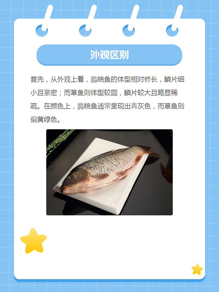 脆皖鱼和草鱼的区别 脆皖鱼和草鱼虽然都是美味的鱼类食材,但它们在