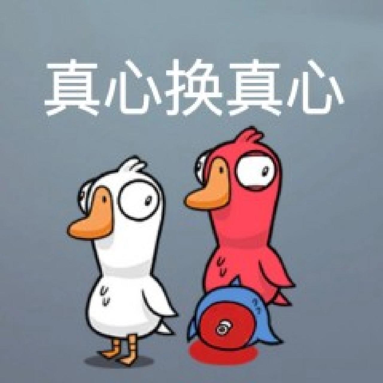 鹅鸭杀表情包   鹅鸭杀表情包