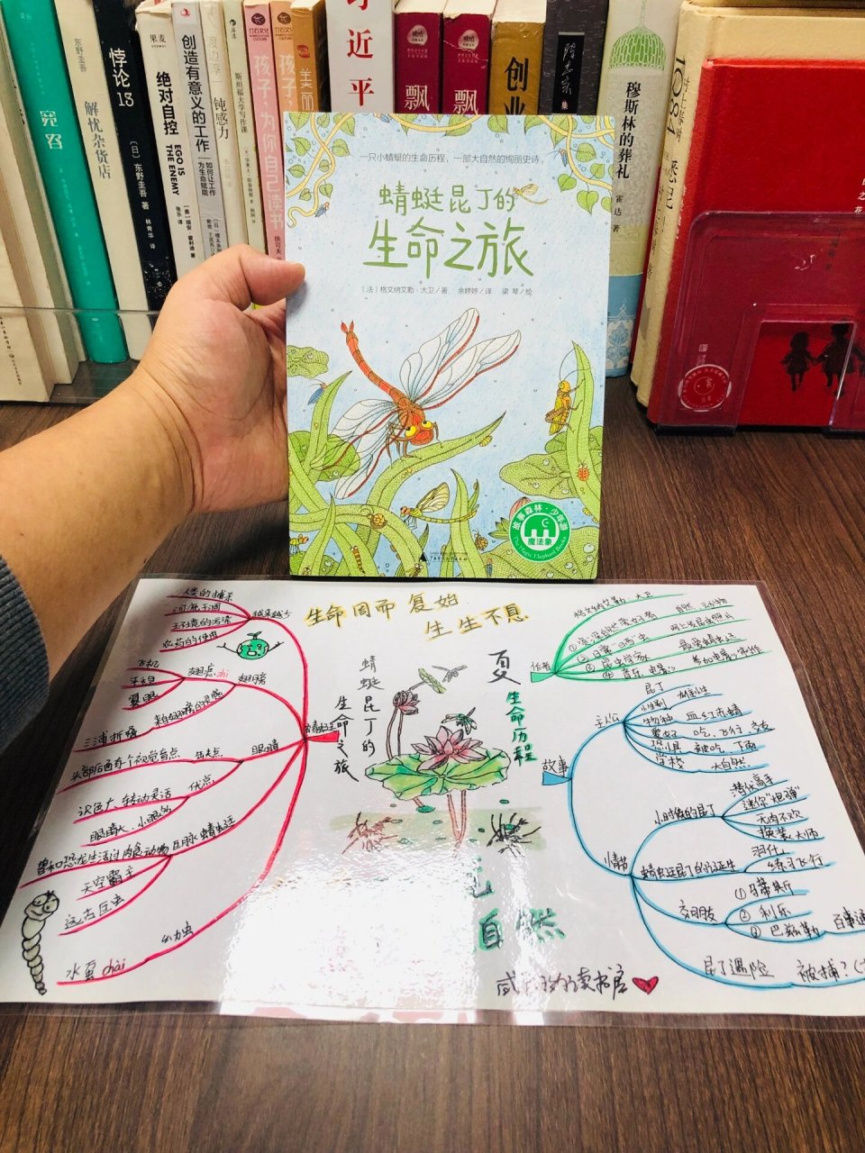三年级 四年级必读《蜻蜓昆丁的生命之旅》 《蜻蜓昆丁的生命之旅》