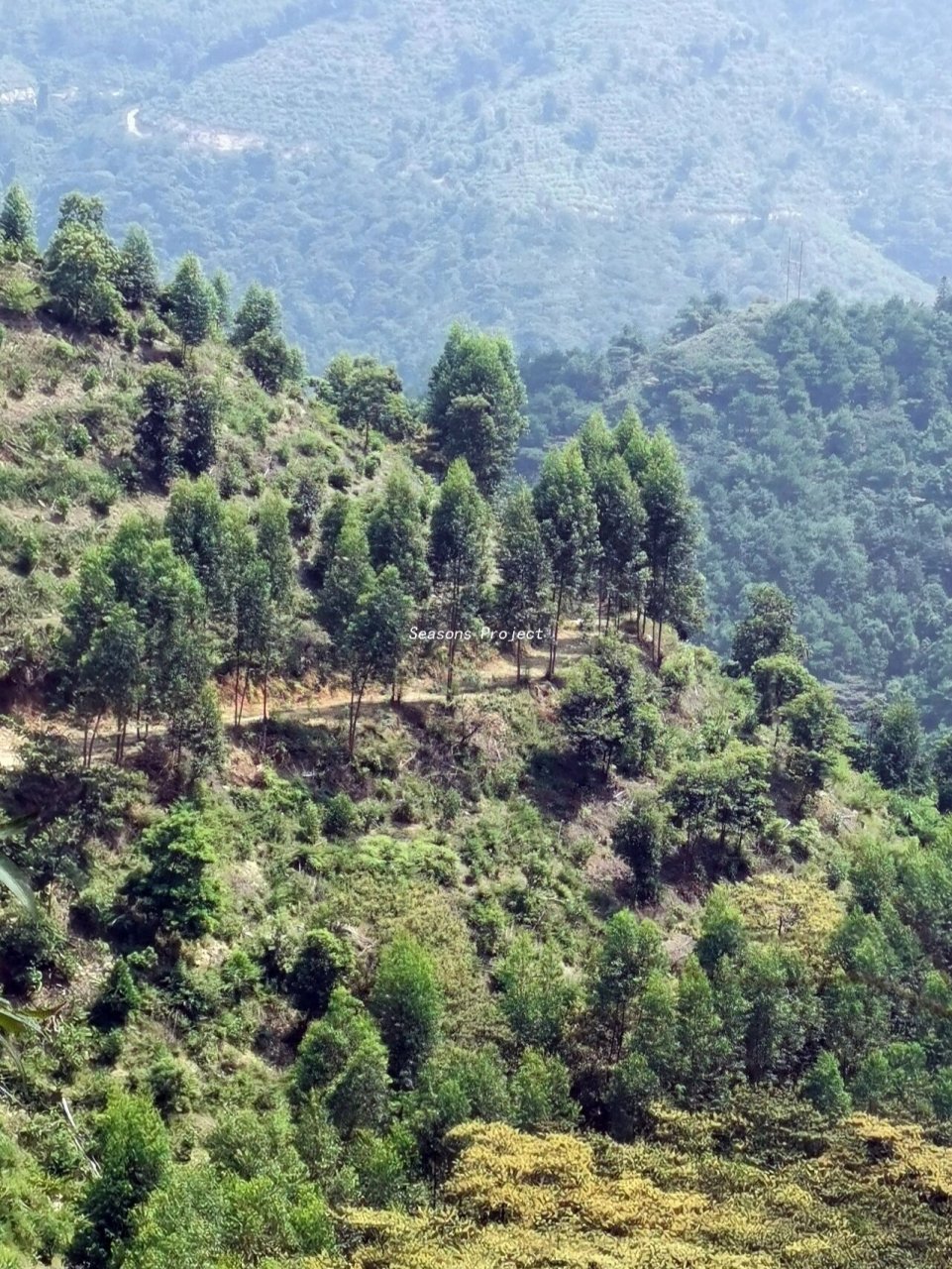 广东小众爬山plog | 肇庆四会贞山电视塔 96 肇庆四会贞山电视塔