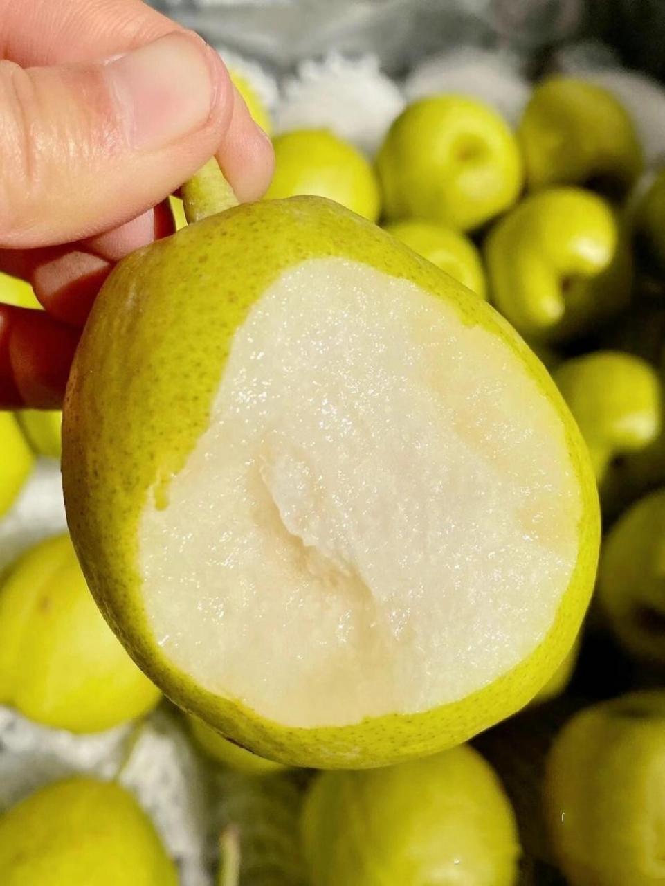 特级西域香妃香梨 非"梨"莫属立冬天冷了～正是吃梨好时节!