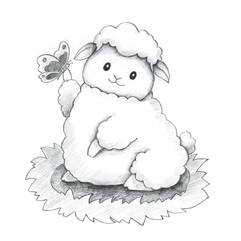 铅笔素描教程-呆萌小动物-卖萌小羊