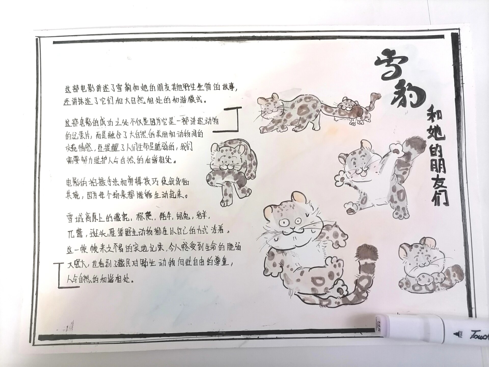 假期作业结尾中… 《雪豹和他的朋友们》电影手抄报