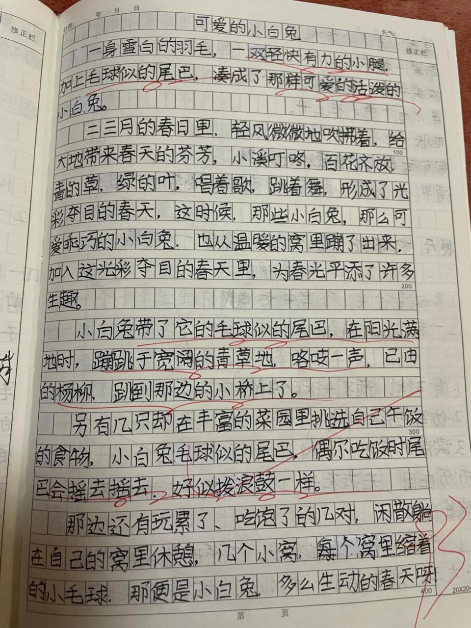 三年级下,描写小动物,小白兔 不定期分享宝贝的作文内容,有仿写的,有
