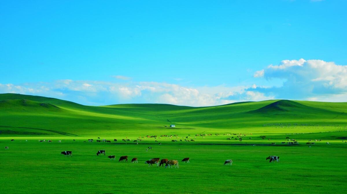 世界四大草原三个都在中国