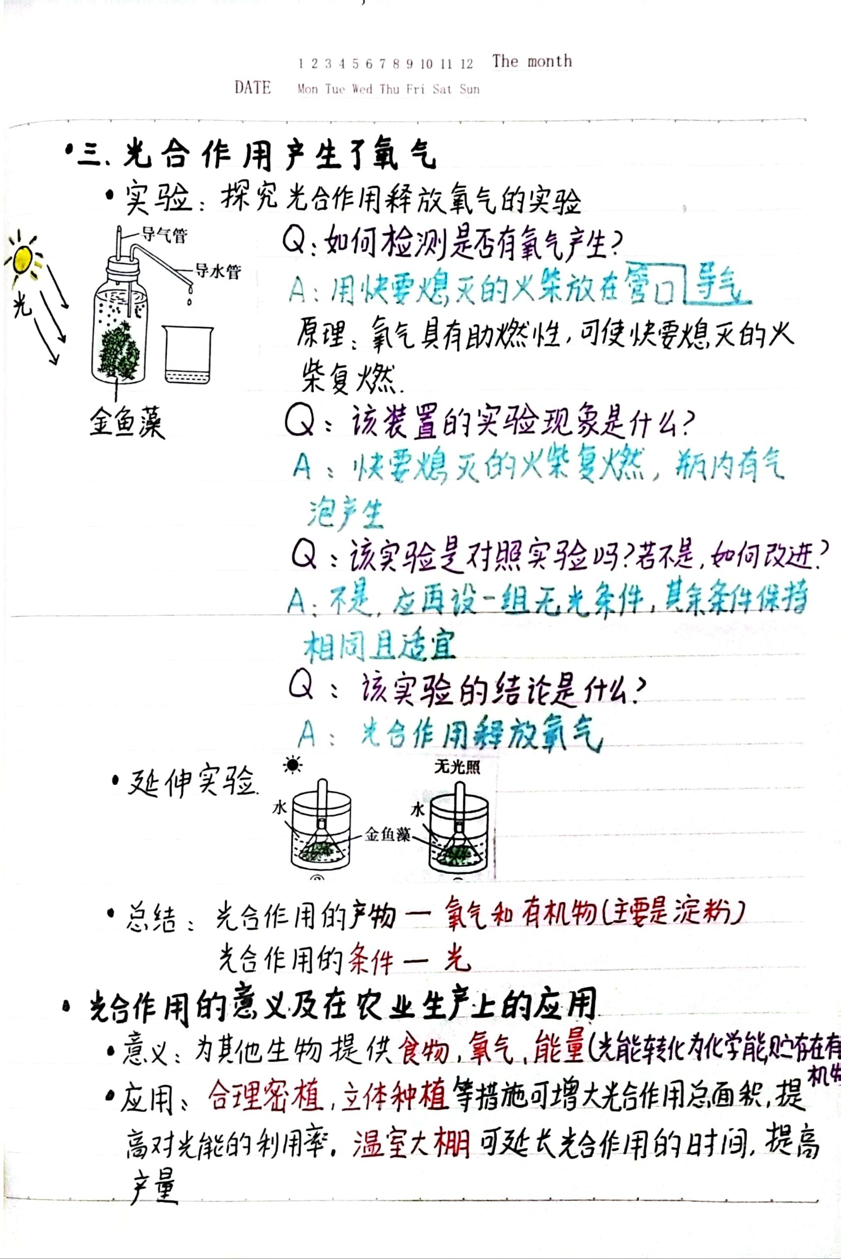 关于小学植物的光合作用实验（步骤）的信息