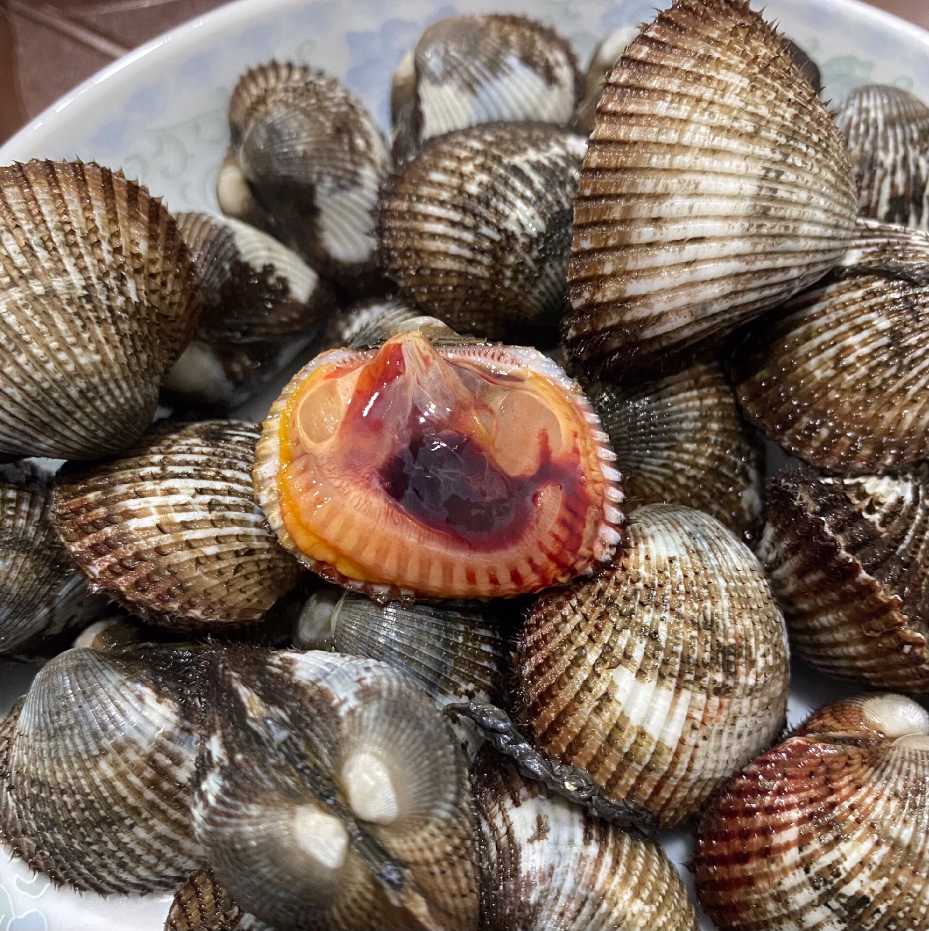 新鲜毛蚶美味佳肴的下酒菜