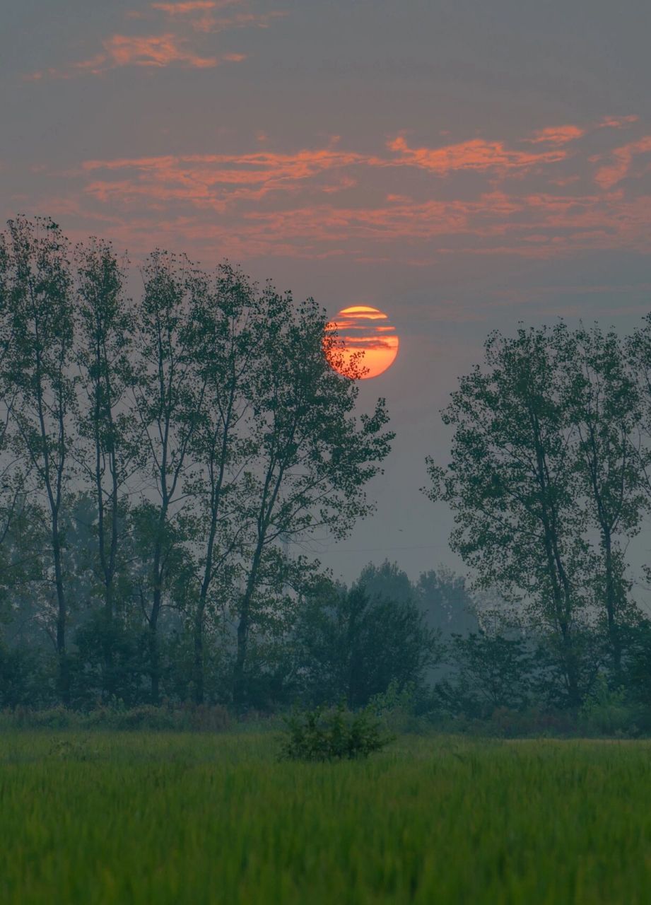 家门口的清晨和日出 中秋节回老家,起了一个大早起来看日出,一轮红日