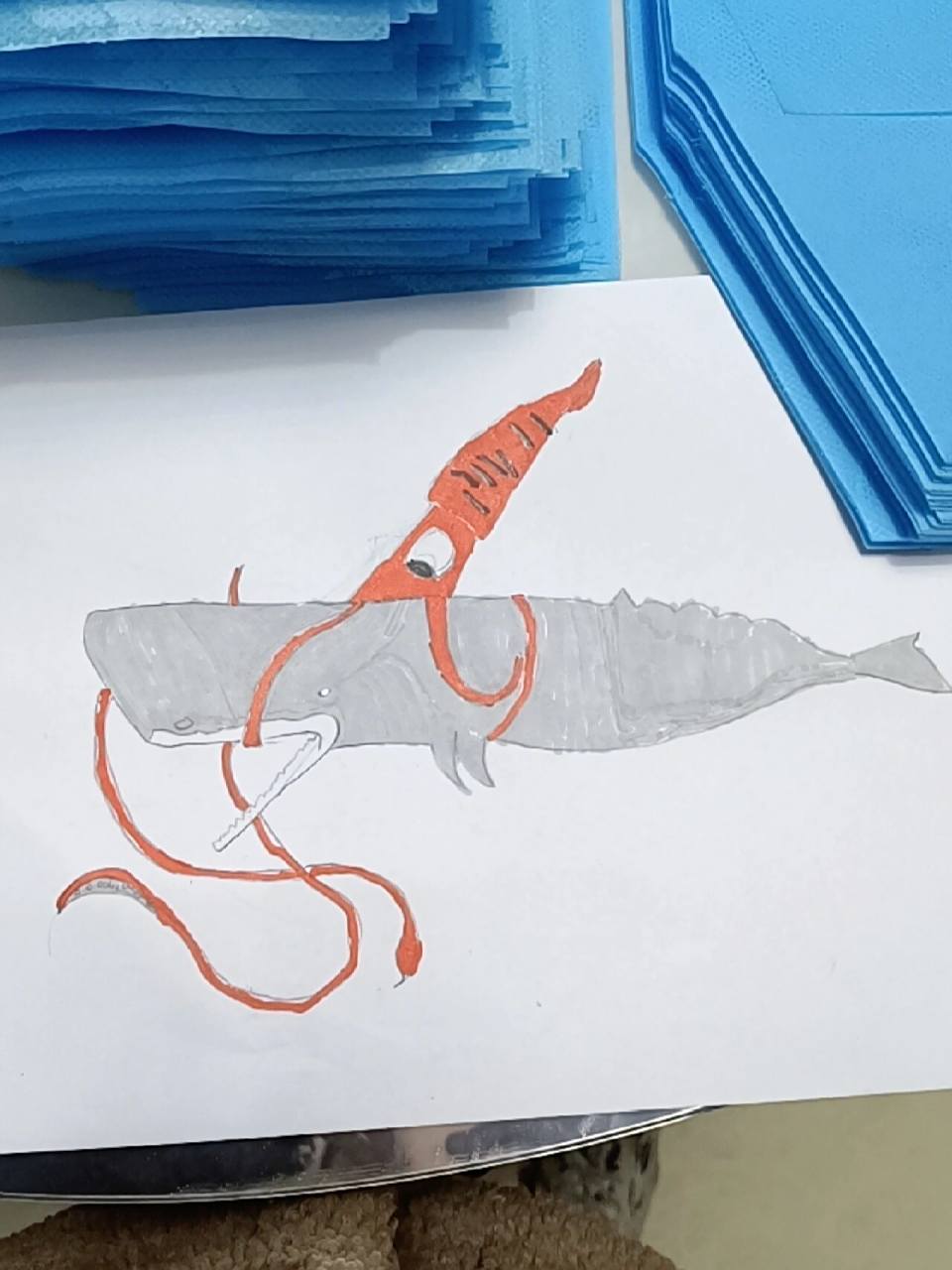 抹香鲸大战大王乌贼