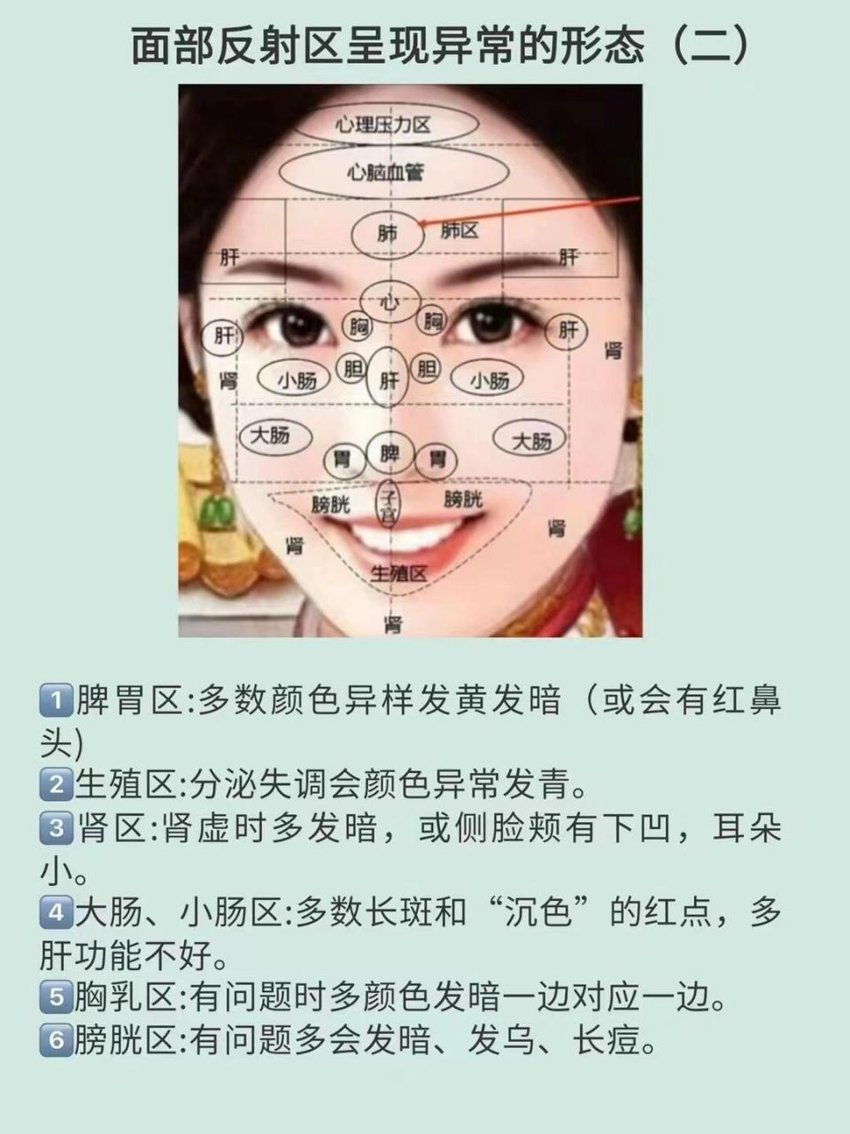 脸部看相位置名称图解图片