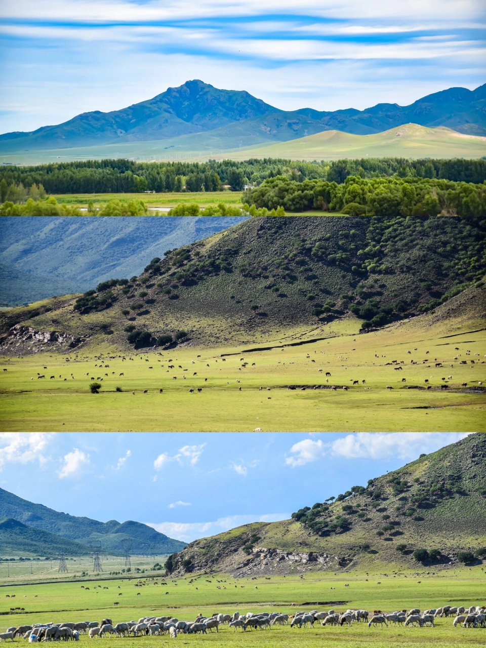 大兴安岭余脉的绿丝带 扎鲁特草原是立体的,她位于内蒙古通辽市北部