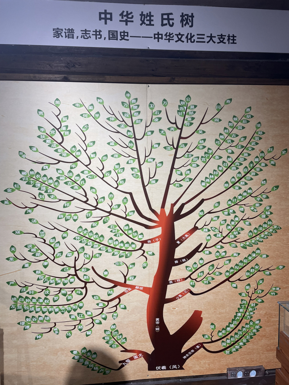 中华姓氏树98