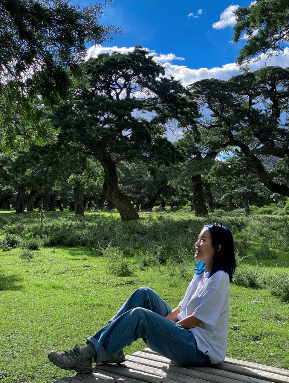 山南|错那县千年沙棘林 贫瘠山谷里的一片绿洲 屹立千年的沙棘林!