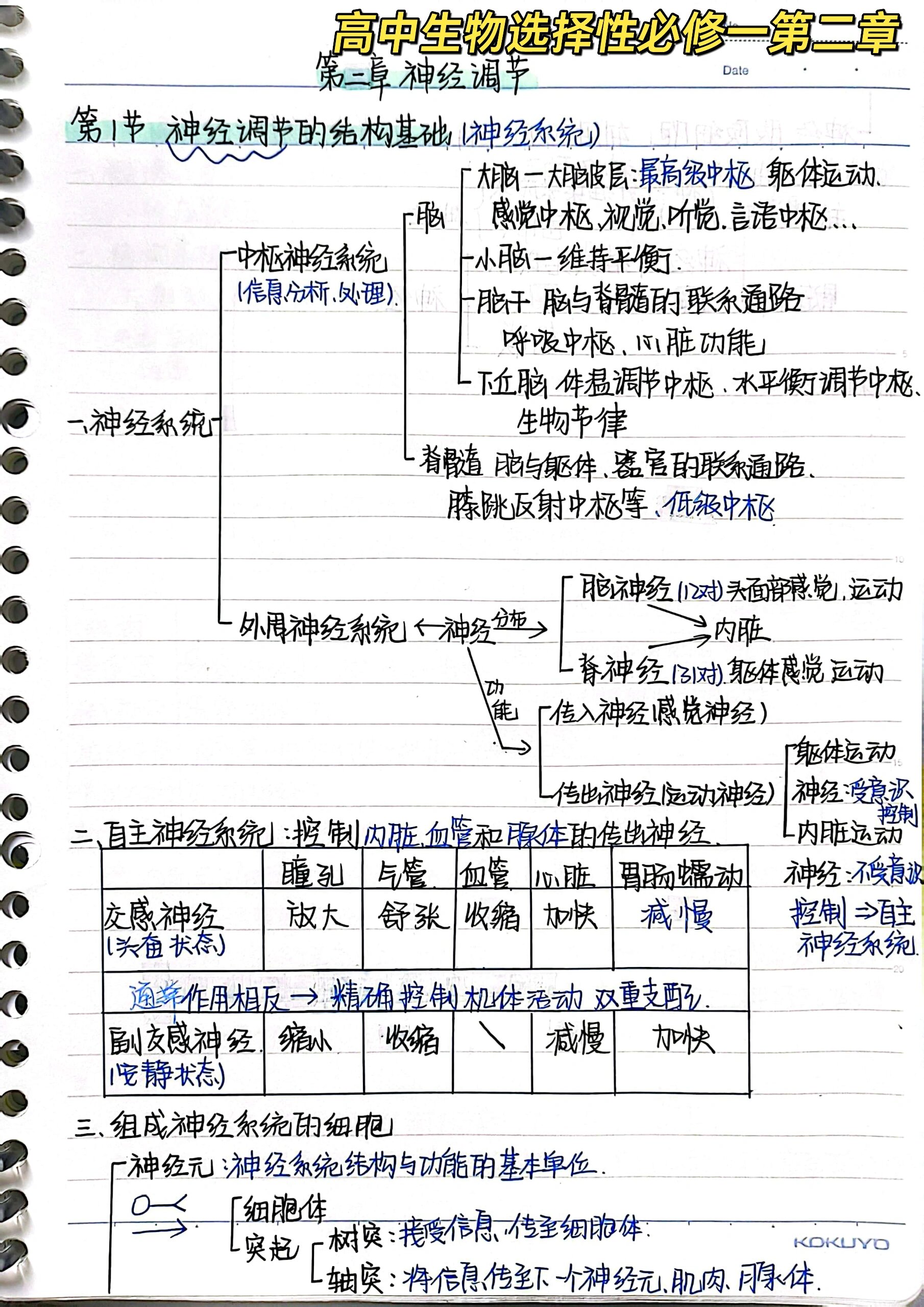 高中生物选择性必修一第二章