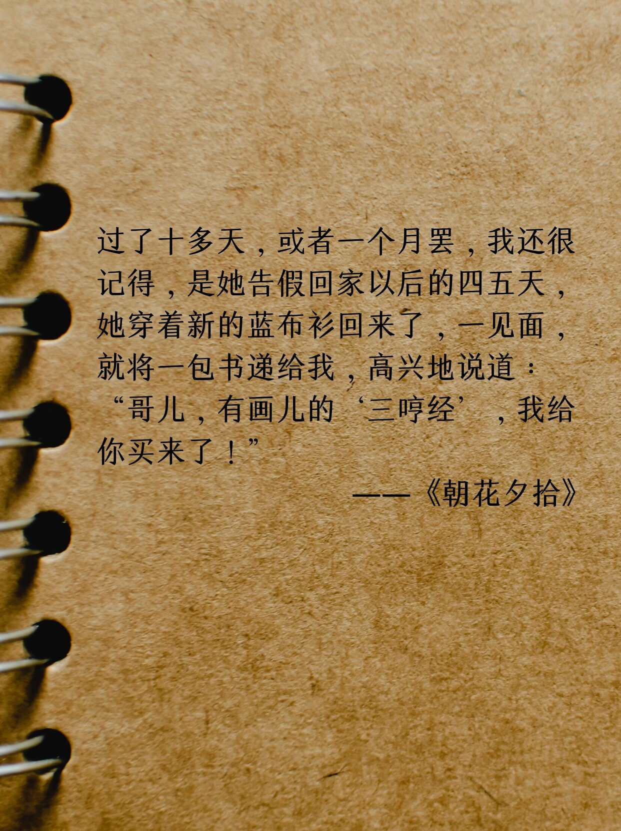 长妈妈的简介
