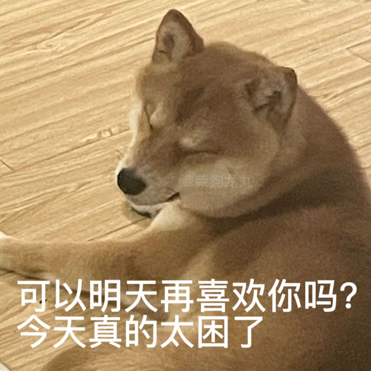 情侣聊天晚安表情包 那个,可以明天再喜欢你吗?