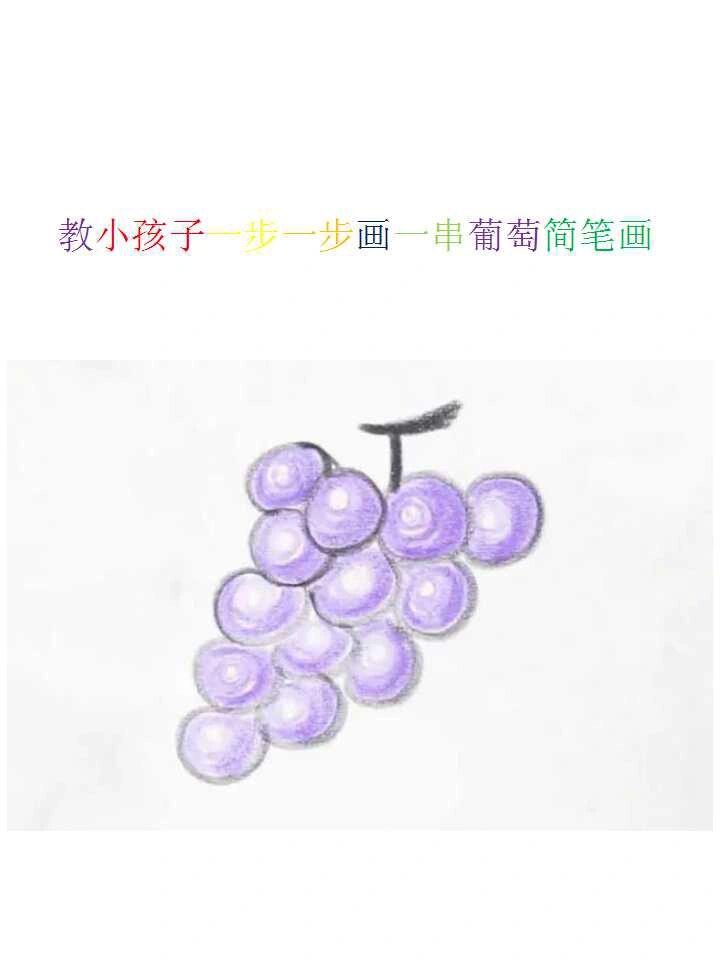 教小孩子一步一步画一串葡萄简笔画(步骤图 在所有水果中,葡萄很是