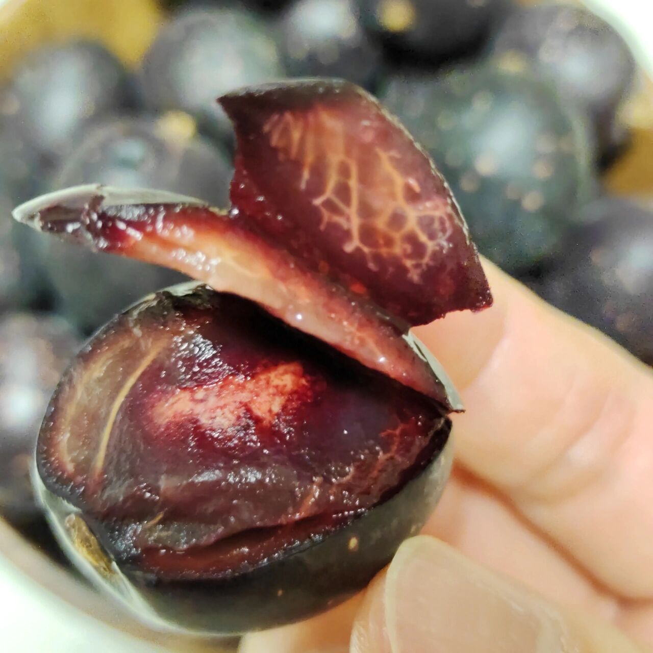 果子果子day159 胭脂果～又称鬼眼睛果,它的汁像胭脂一样的红.