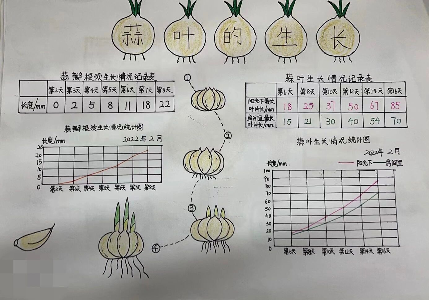 初一统计图思维导图图片