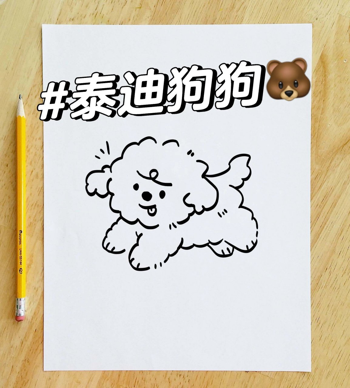 可爱简笔画教程【1/100】泰迪狗狗93