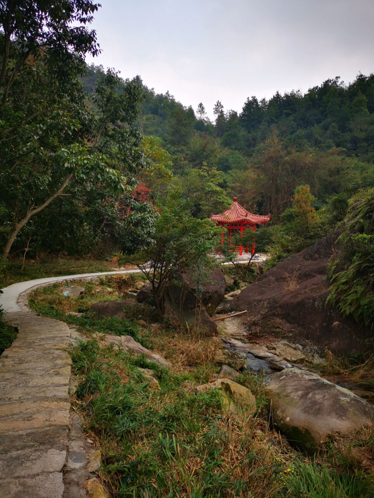 苍南县龙沙乡图片