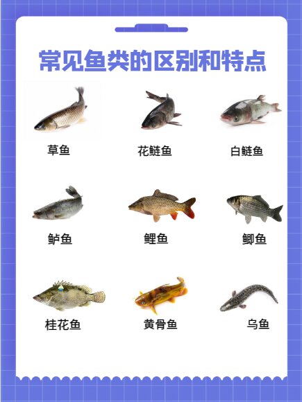 常见淡水鱼种类的区别和特点!鱼类说明书