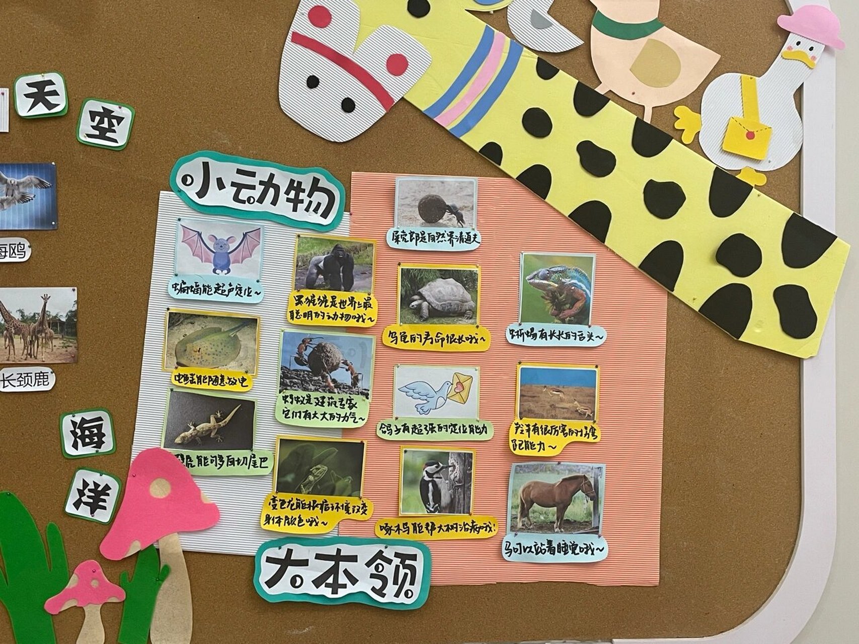 幼儿园主题墙《动物朋友》 | 环创 | 幼师 分为三个板块: 猜猜我是谁