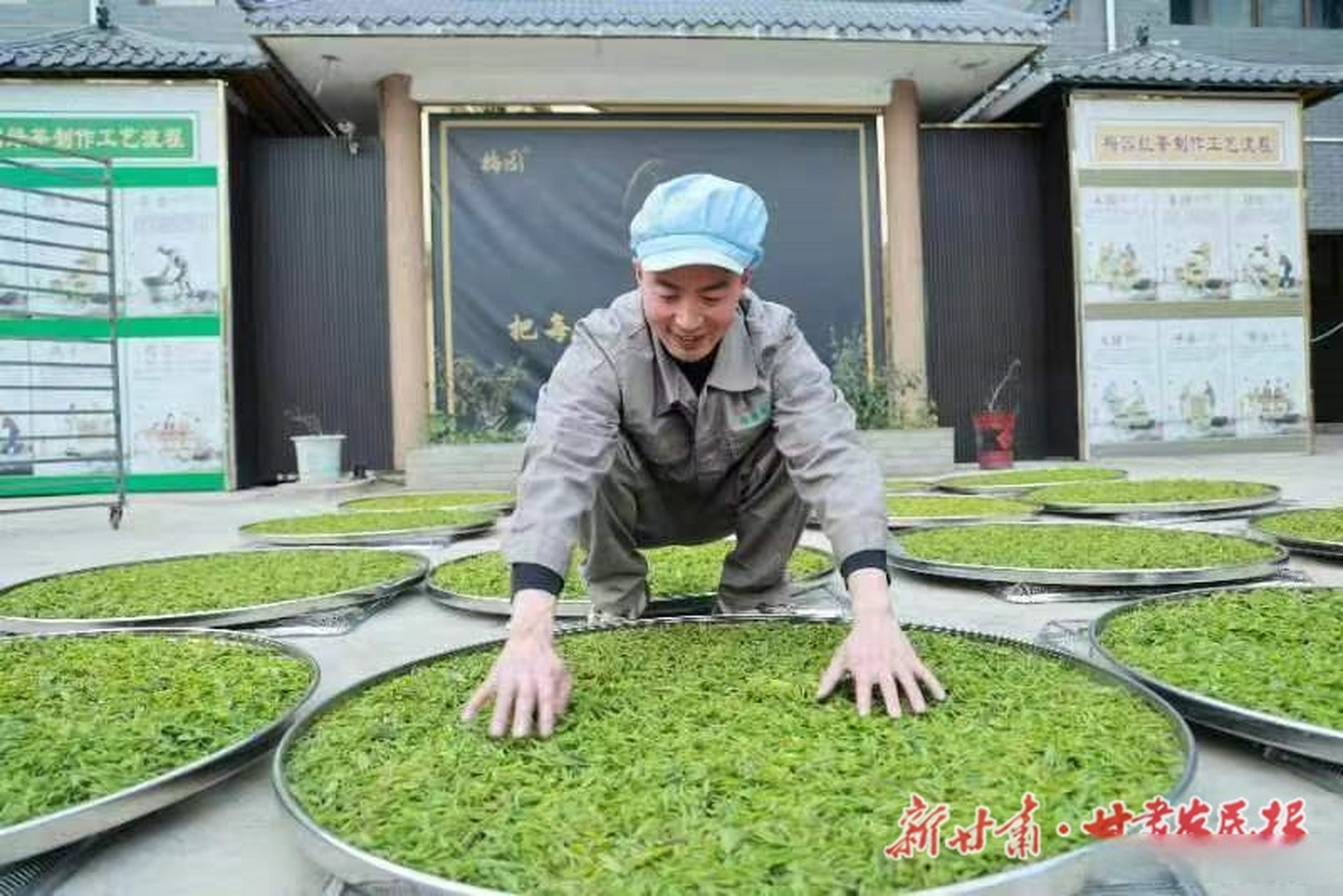 "三抓三促"行动陇南进行时 康县阳坝镇:春茶飘香时,茶企加工忙