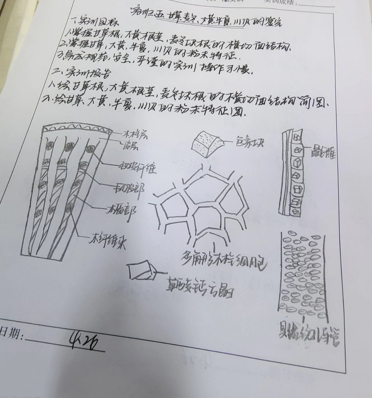 大黄粉末微量升华简图图片