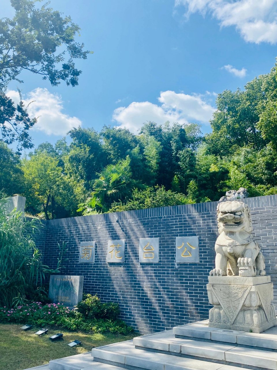 菊花台公园 南京的秋天真美94