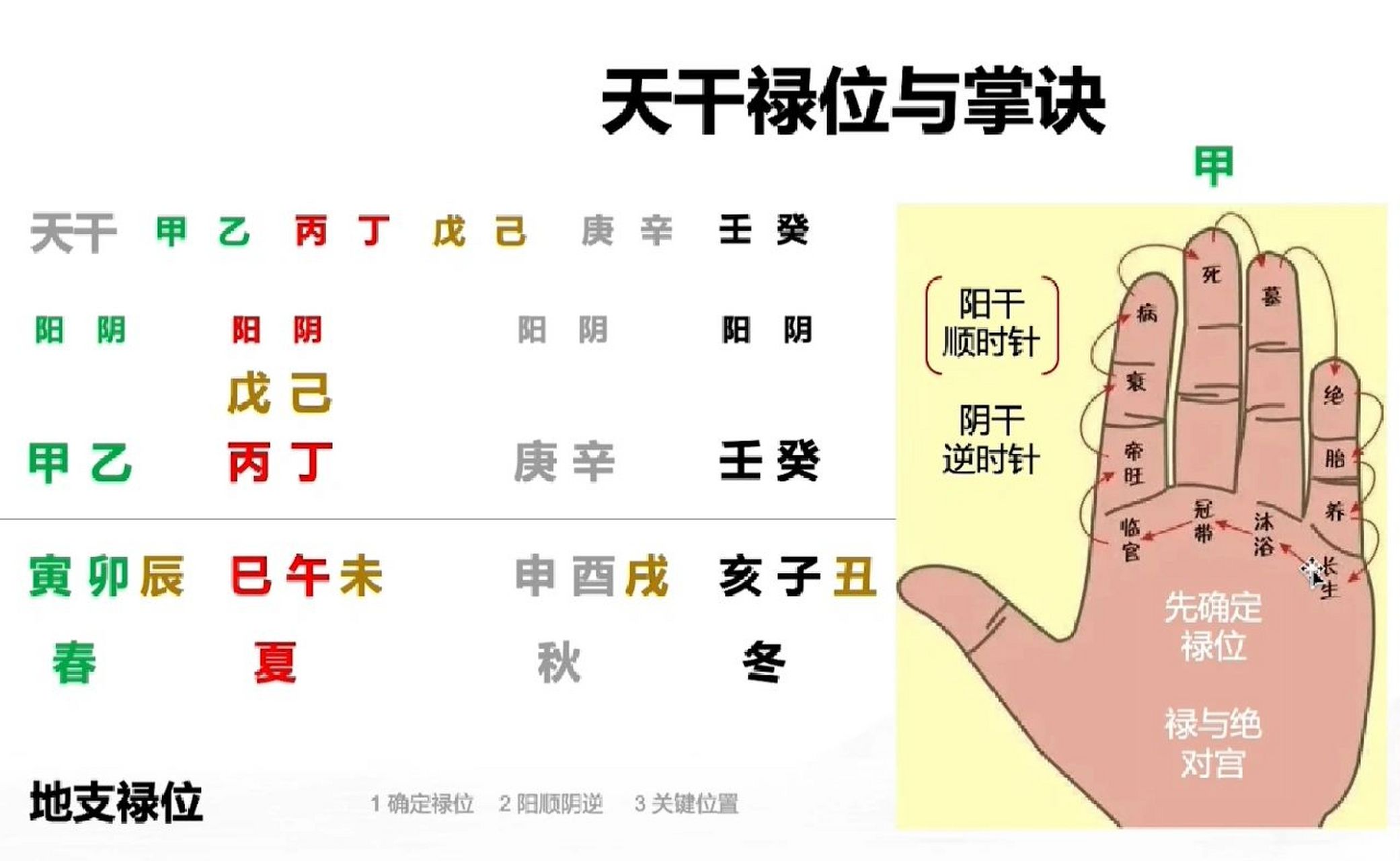天干禄位与掌诀速记 1.确定禄位 2.阳顺阴逆 3.