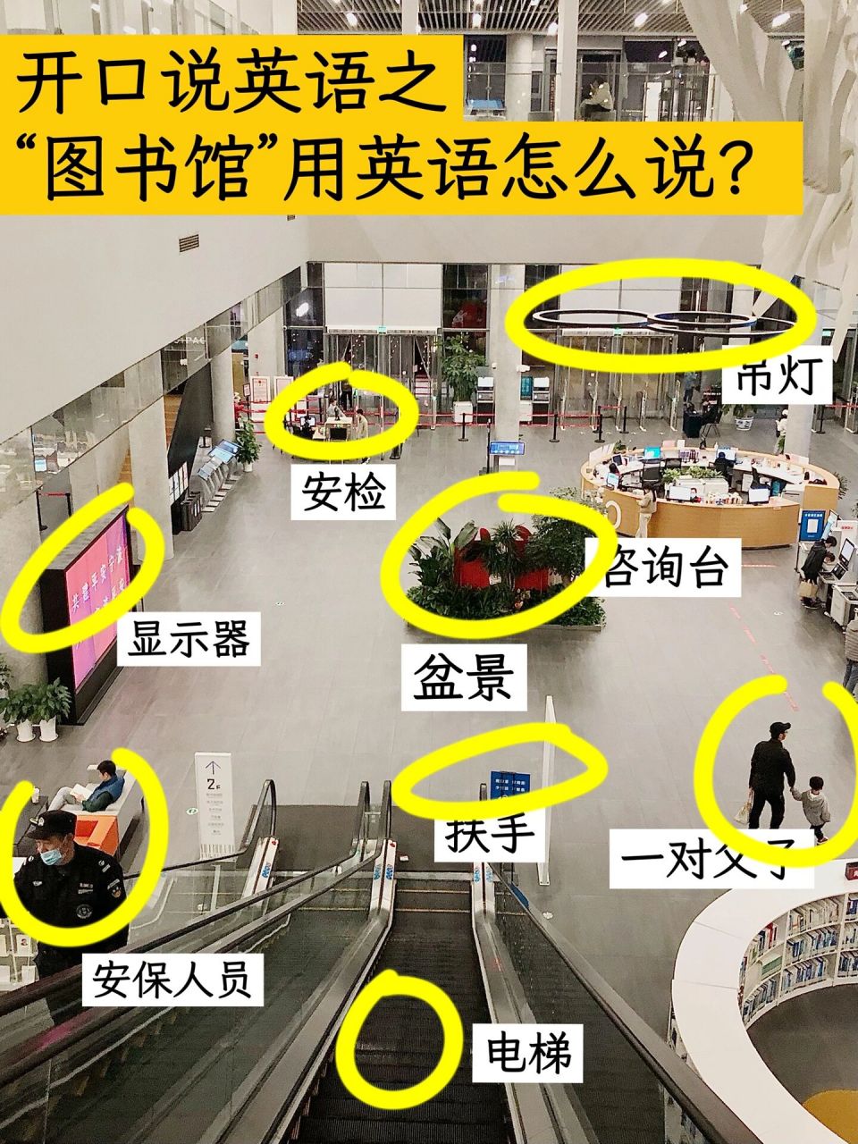 say it in english|"图书馆"用英语怎么说? 哈咯 早上好!