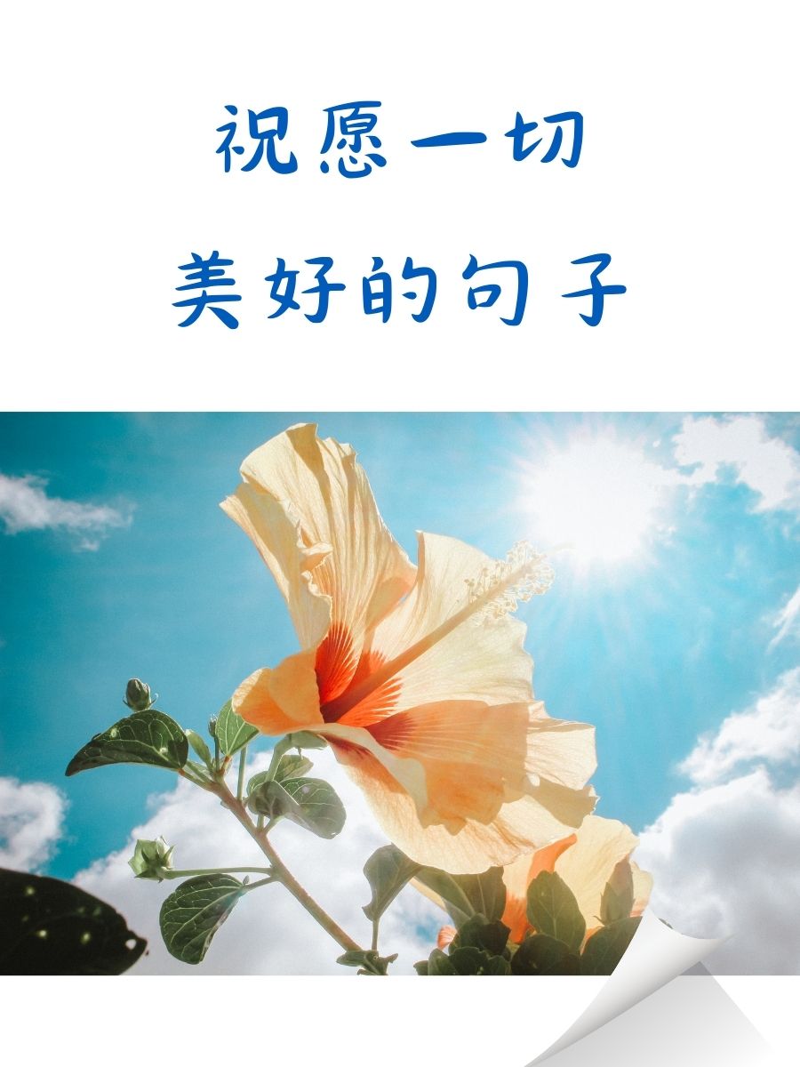 愿一切美好的短句