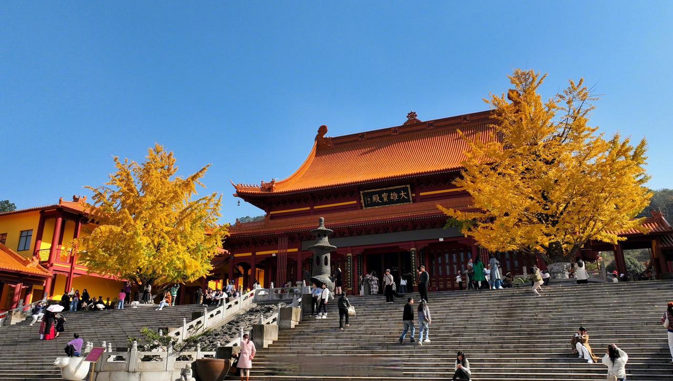 长沙洗心禅寺百年银杏美如画 【关于初冬的文案,都不如金黄的银杏叶