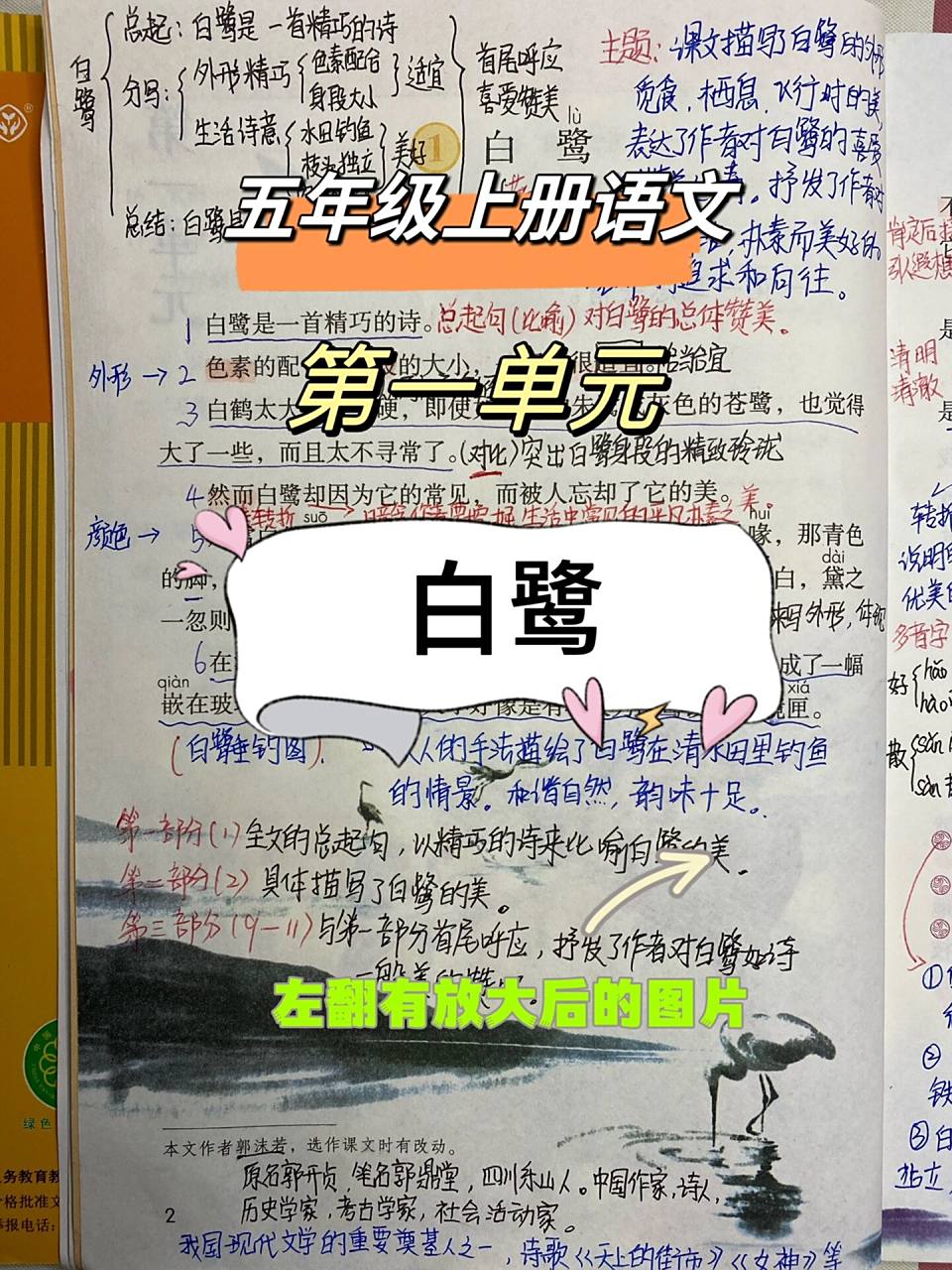 部编版90五年级语文第一1课白鹭课堂笔记   2023新五年级上册第一课