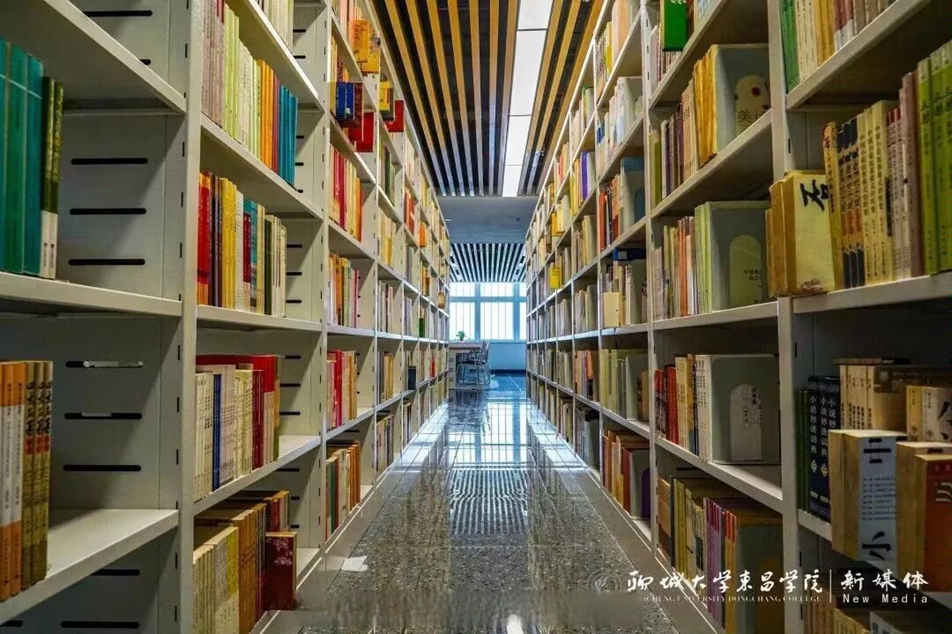 聊城大学东昌学院