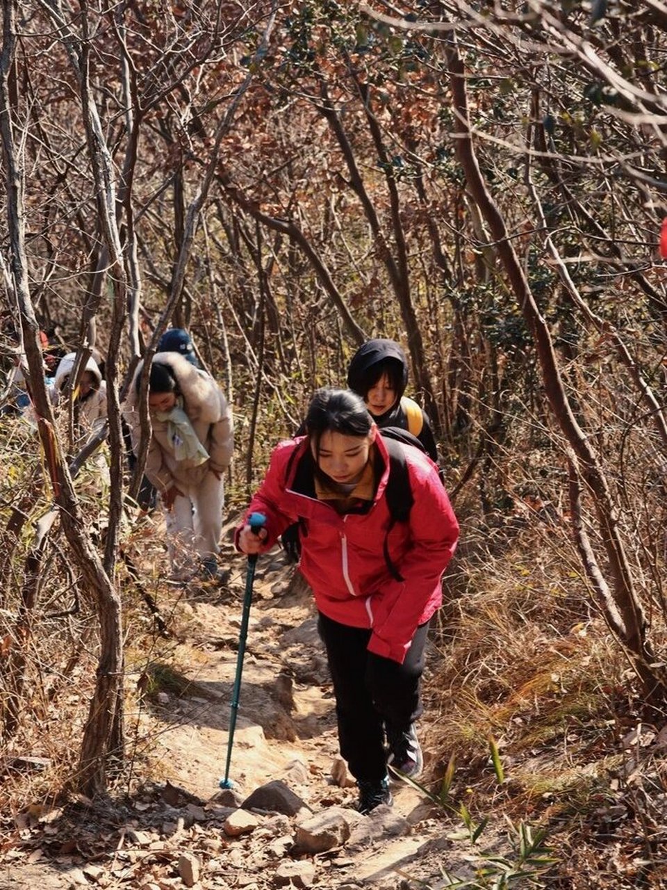 句容高骊山徒步图片