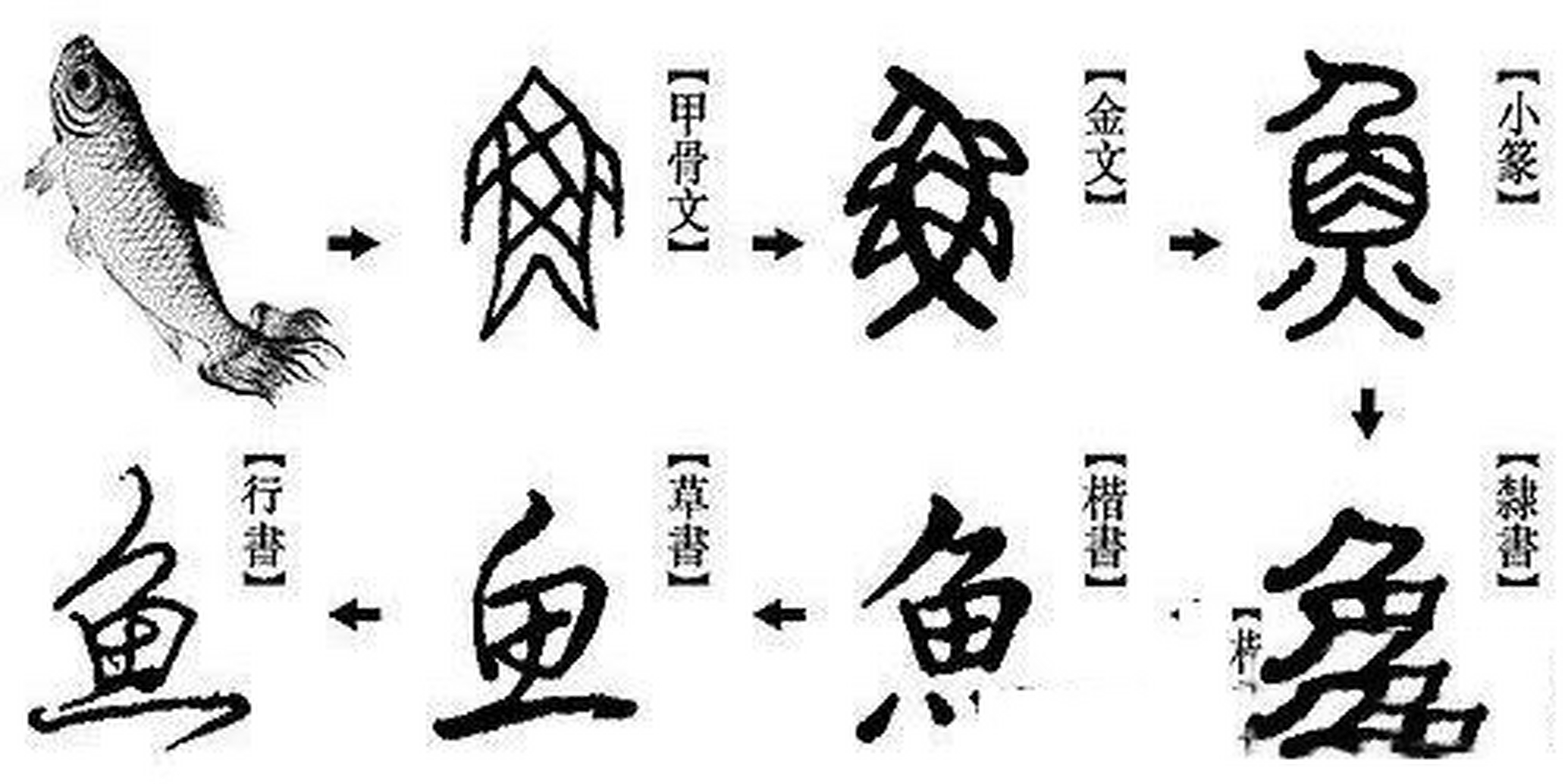 同人书院--汉字的起源 【汉字的起源】 汉字渊源于象形,它是由图画