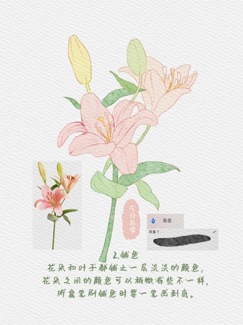 水彩画教程步骤 花朵图片