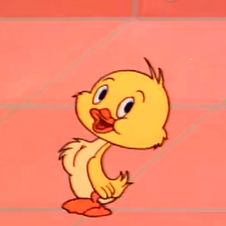 猫和老鼠小鸭子头像