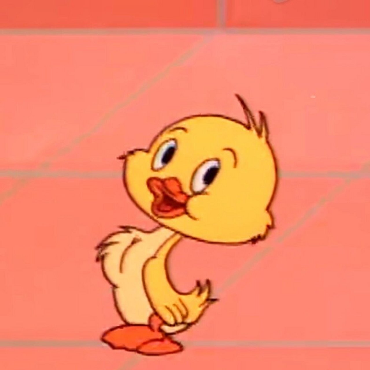 猫和老鼠小鸭子头像