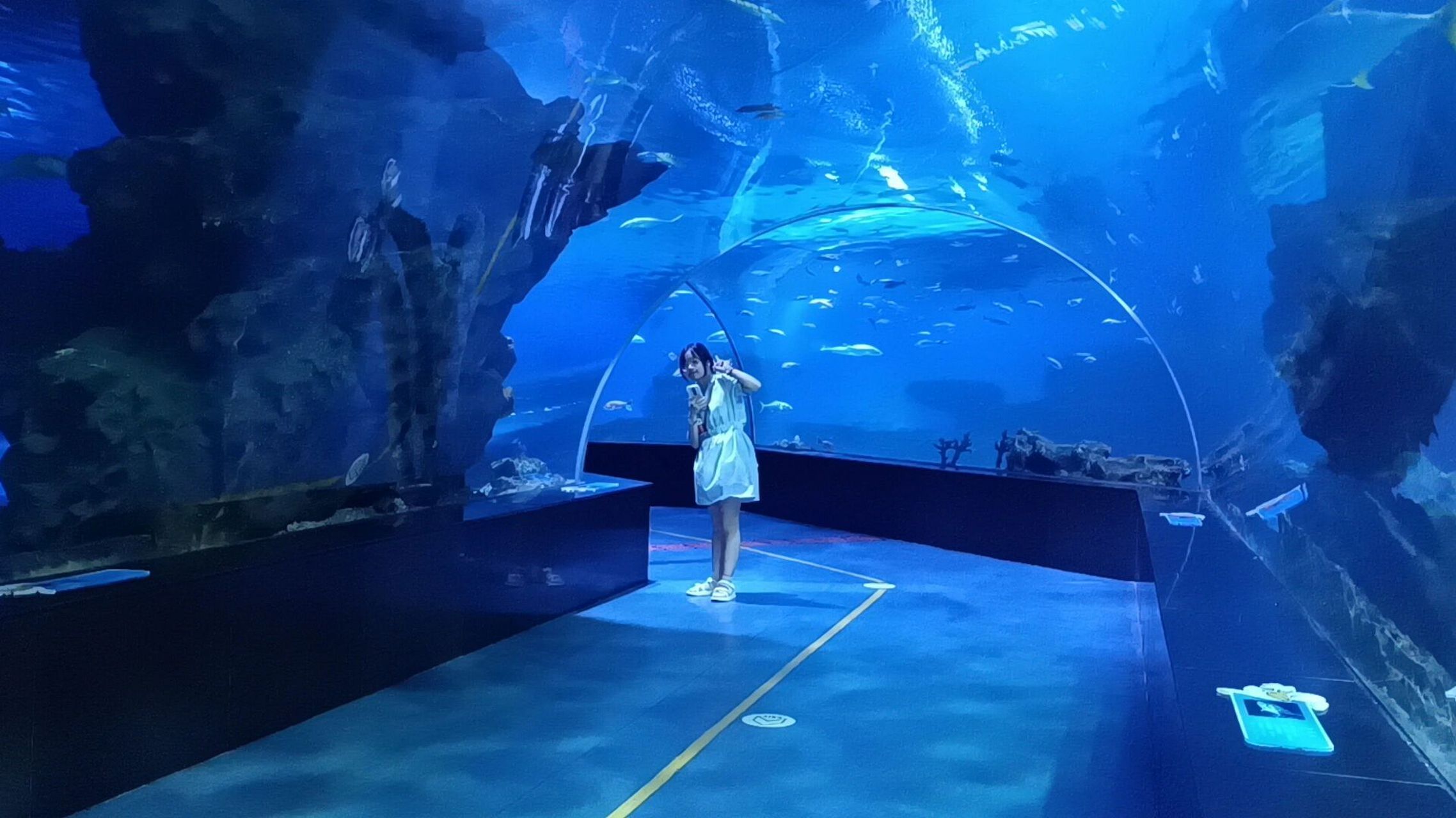 未来水母馆 水母很好看,加上灯光,很梦幻 2.