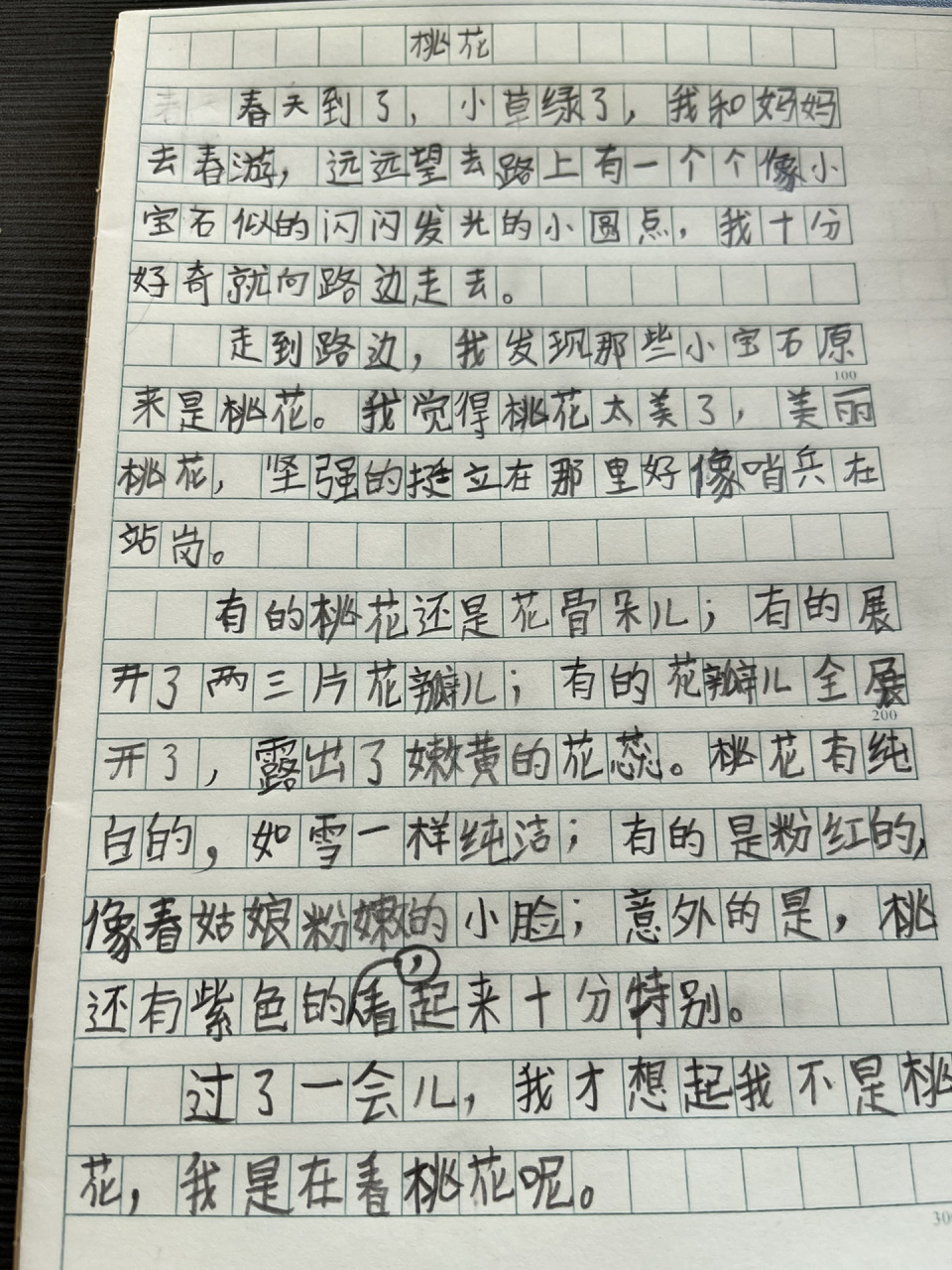 三年级作文300字以上(二三年级优秀作文300字)