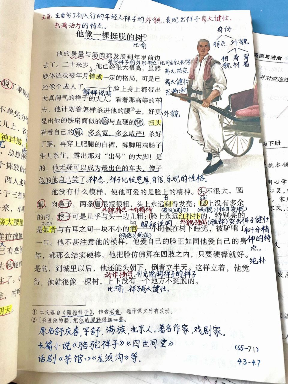 五年级下册《人物描写一组》课堂笔记 部编本 五年级下册 第五单元第