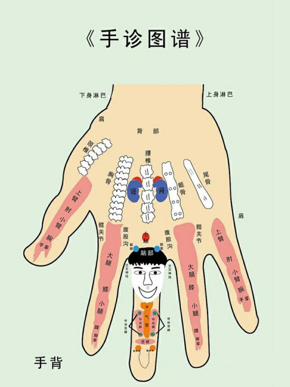 肺癌手诊图图片