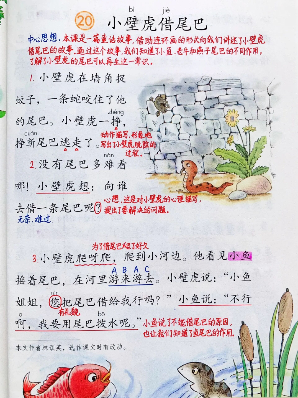 一年级下册语文《小壁虎借尾巴》笔记 一年级语文下册《小壁虎借尾巴