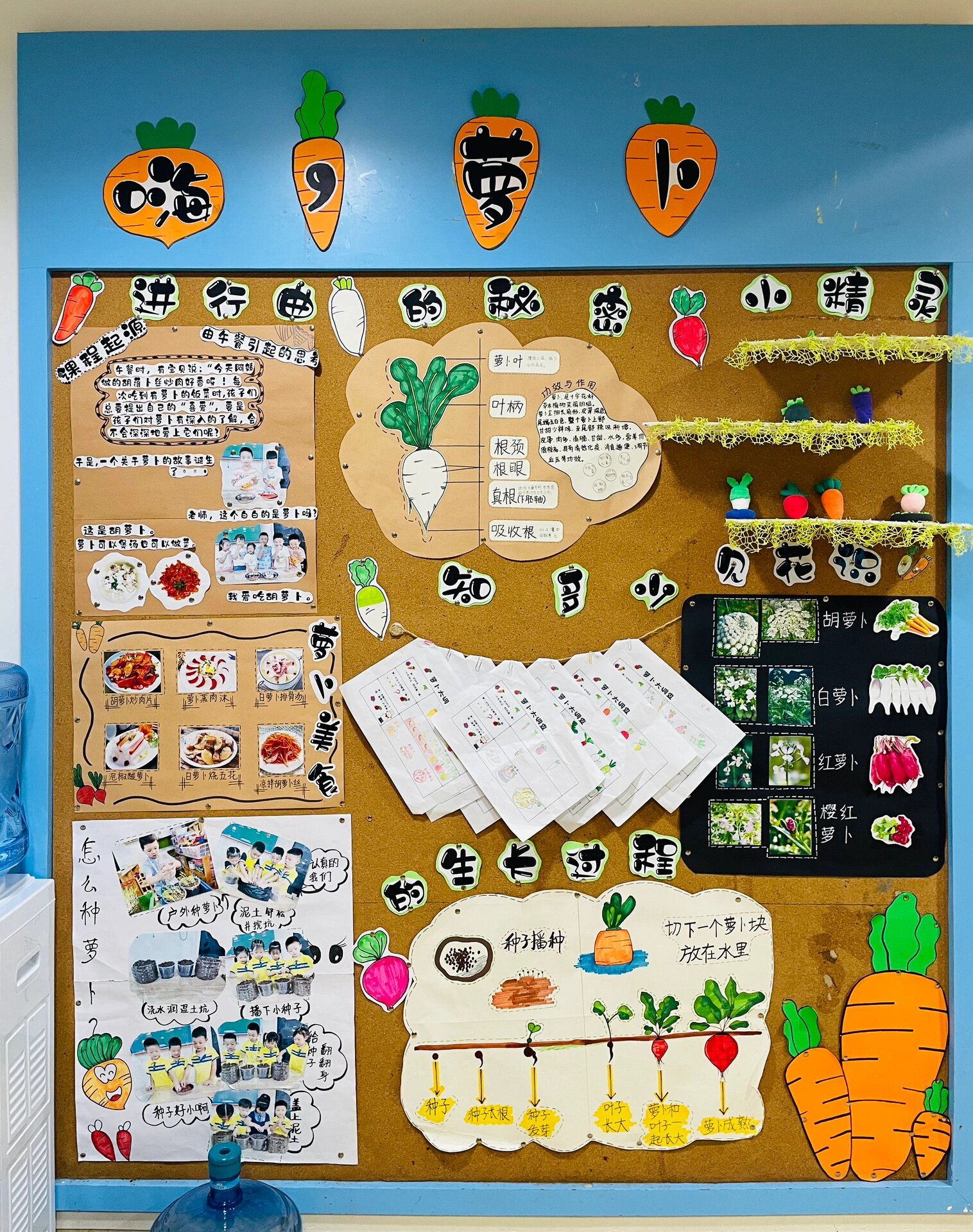 幼儿园主题墙:嗨,萝卜