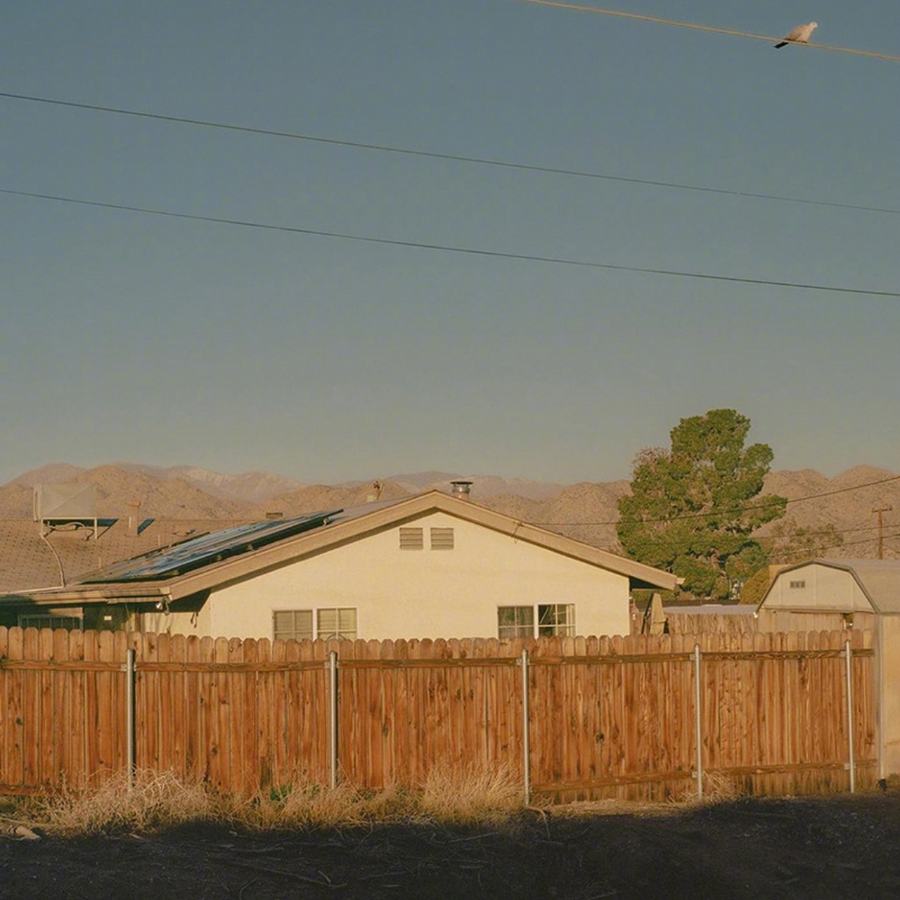 欢迎来到约书亚树国家公园#不止旅行# #旅行摄影#   (via.ins.