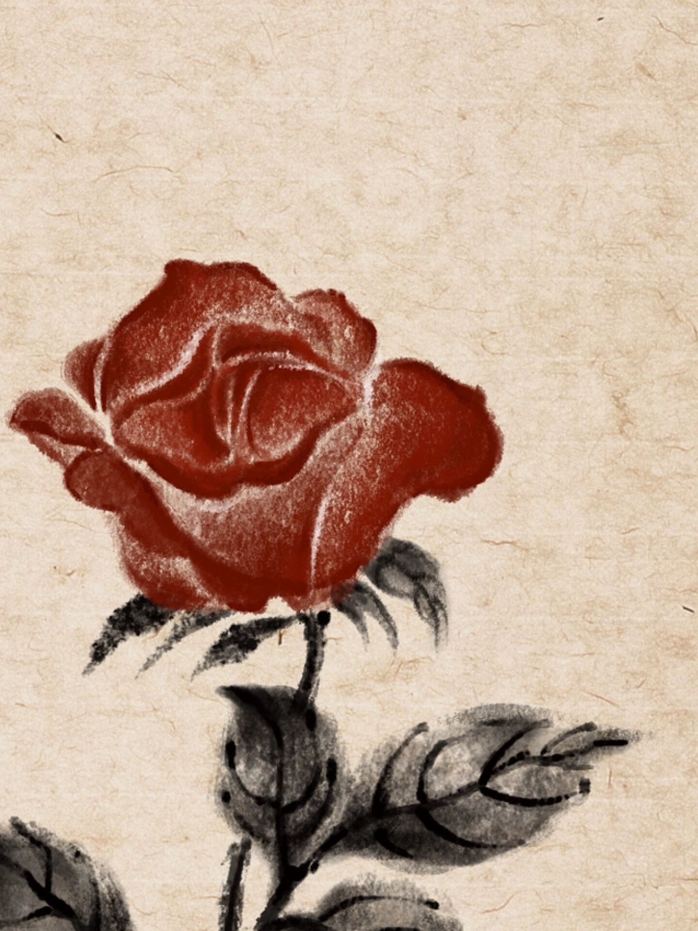 水墨|玫瑰系列8|玫瑰花|手稿|国风|插画